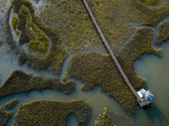 SC Lowcountry Marsh From Drone