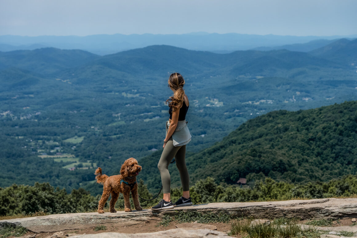 Hike to the picturesque peak of Bearwallow Mountain, one of the best trails near Asheville.
