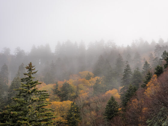 5 day Iitinerary Great Smoky Mountains - Mist On The Ridge Near Cherokee NC