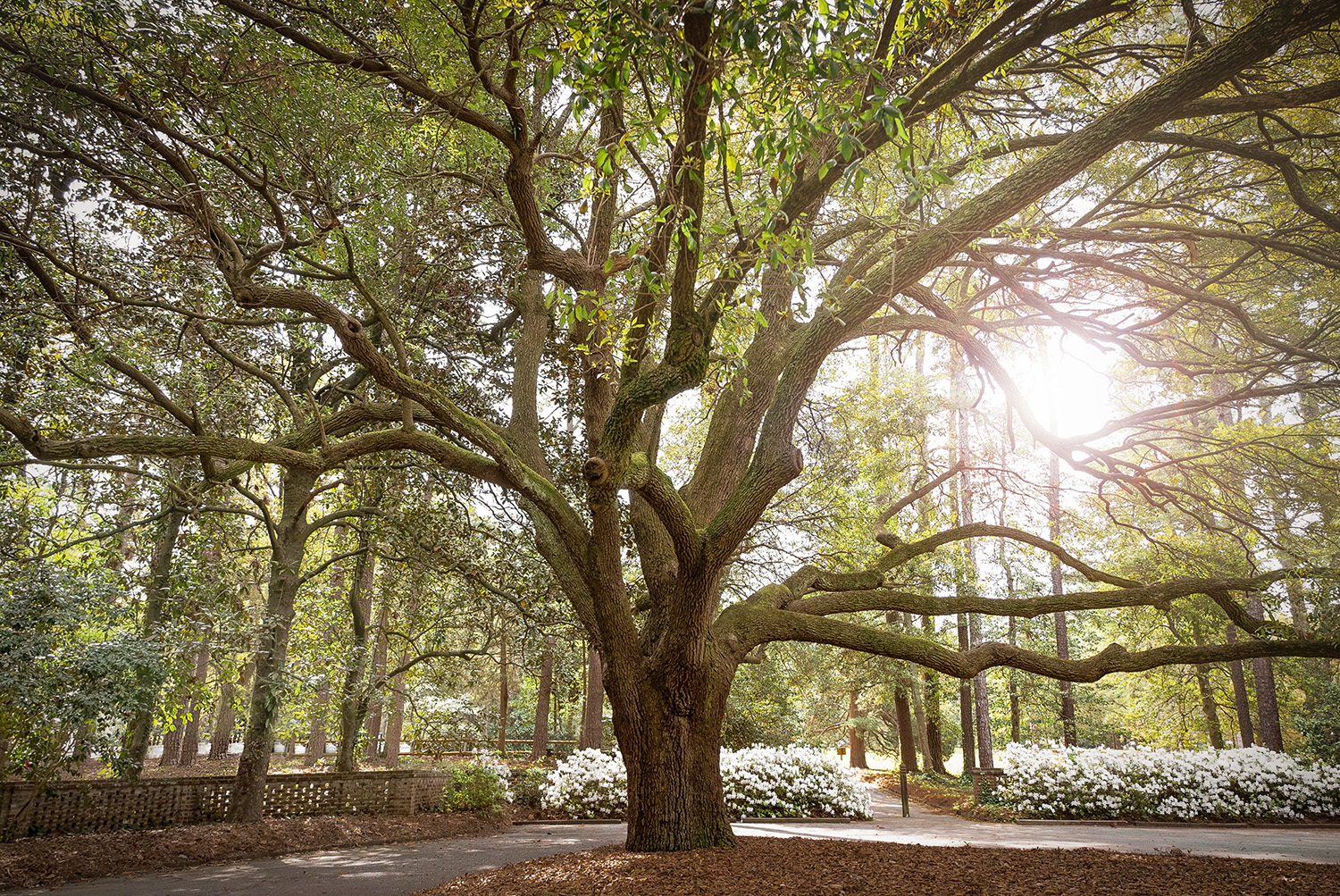 Things To Do In Pinehurst NC Besides Golf Our Top 25