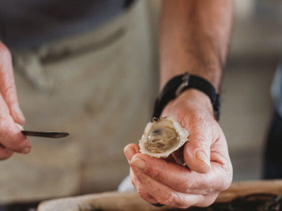 Shucking oysters at the Hilton Head Island Seafood Festival