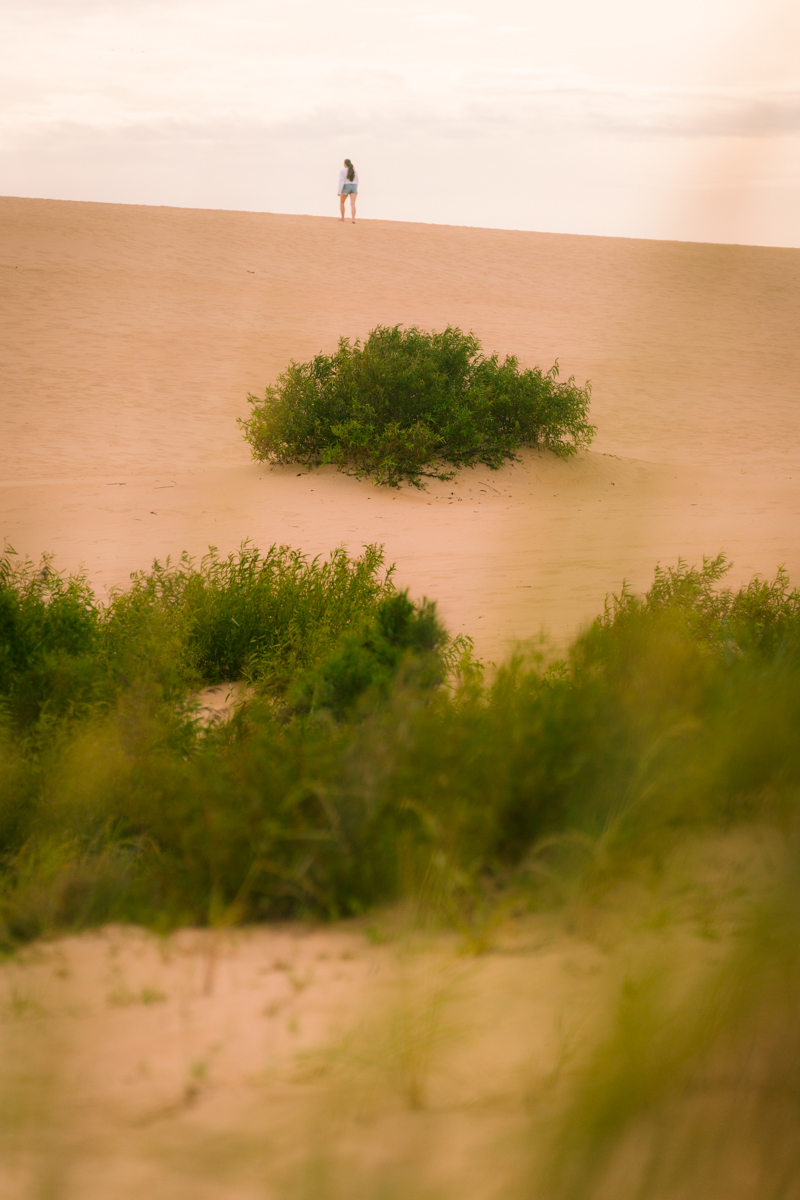 Tall Dunes At Jockeys Ridge Outer Banks