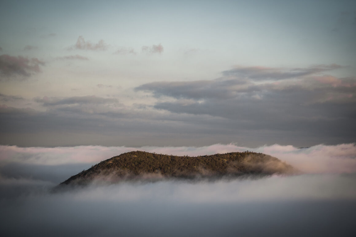 In the clouds near Mt Mitchell North Carolina