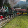 Things To Do With The Family In Boone NC - Visit Tweetsie Railroad