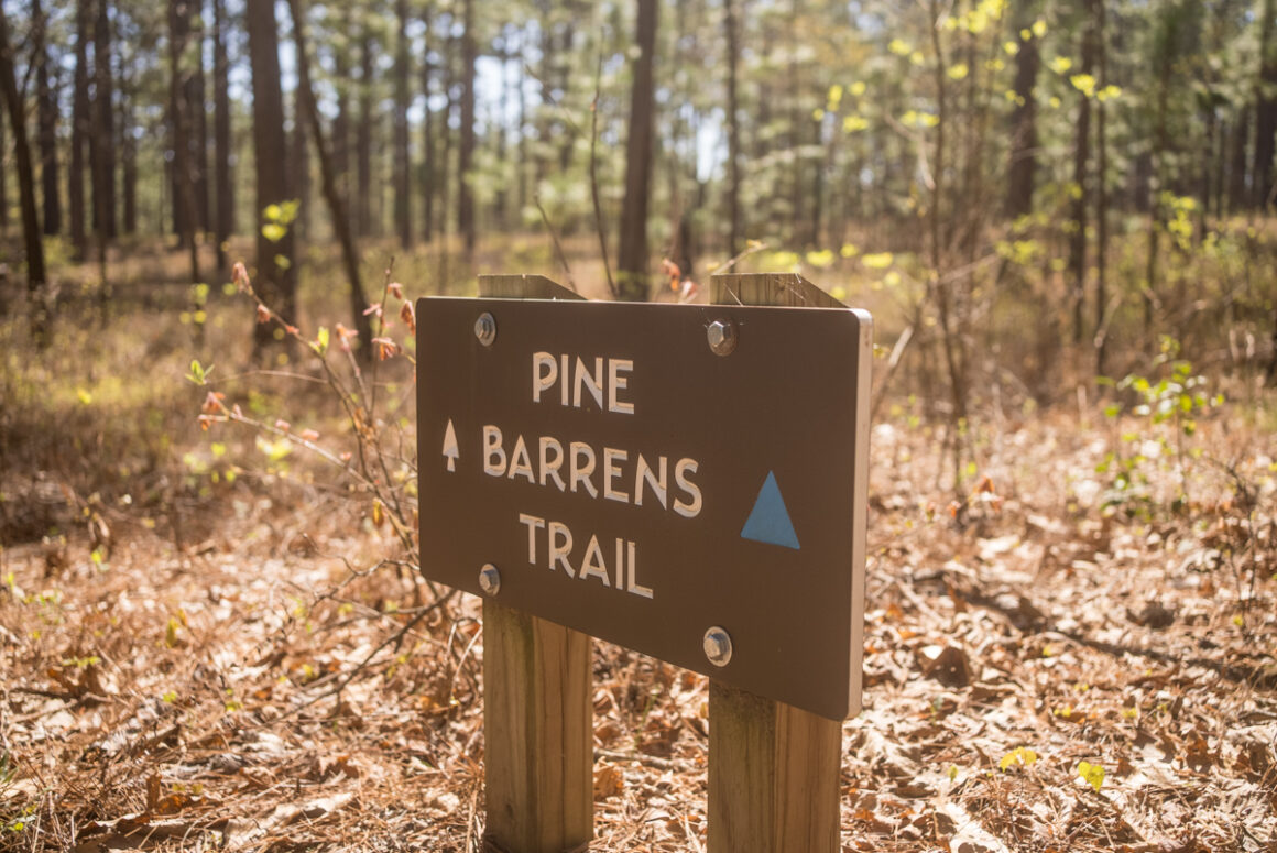 Pine Barrens Trail at Weymouth Woods in Southern Pines NC