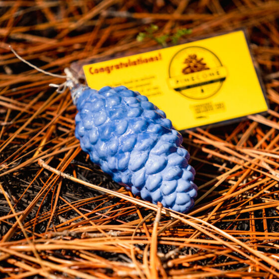 Pinecone Pathways Program Moore County NC