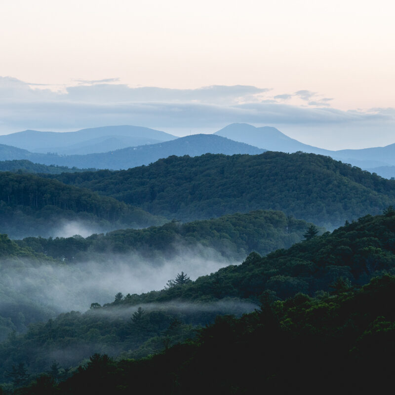 looking-for-things-to-do-in-raleigh-nc-with-kids