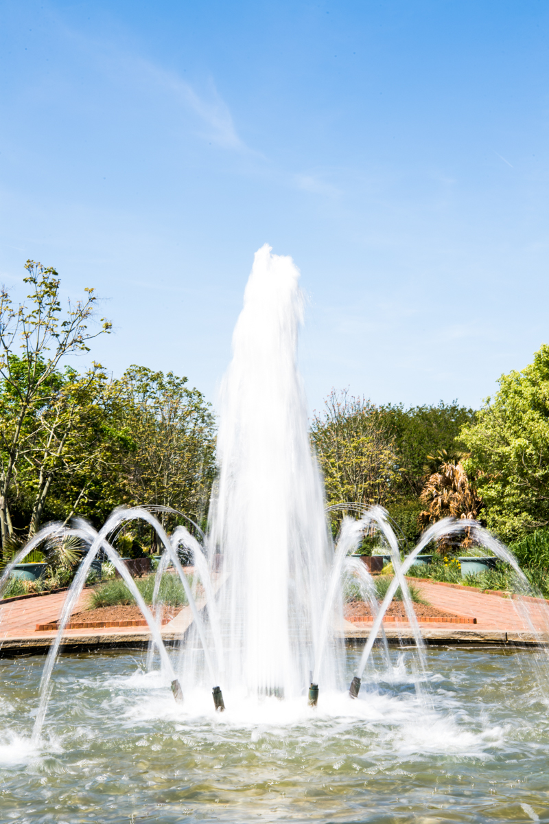 fountain at Daniel Stowe gardens near Charlotte North Carolina