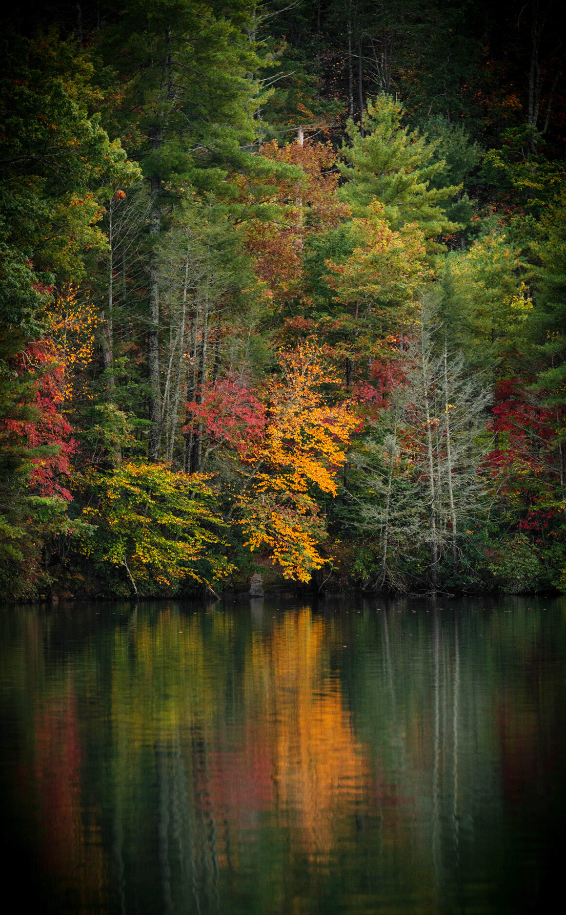 Lake Keowee In South Carolina In The Fall