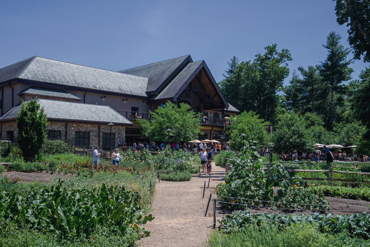 The Definitive Guide To The Best Outdoor Activities In Asheville NC