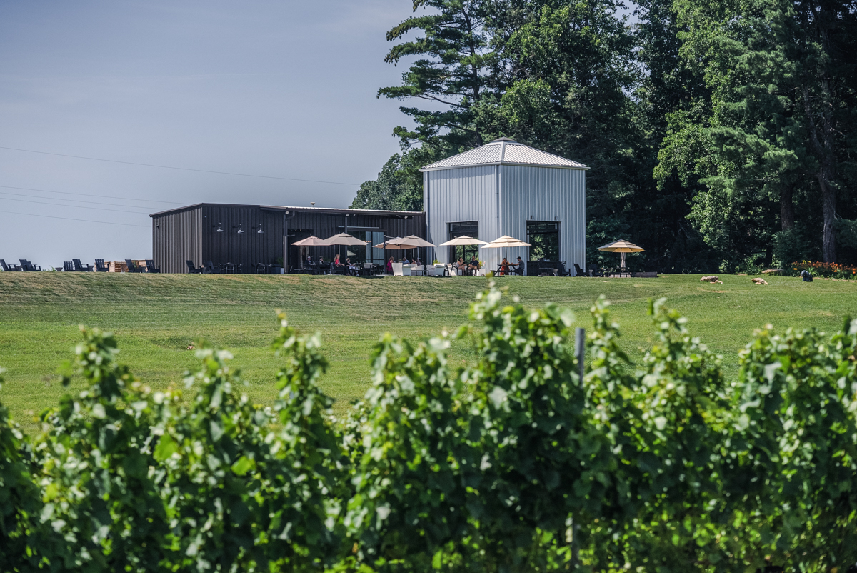 The Definitive Guide To The Best Outdoor Activities In Asheville NC