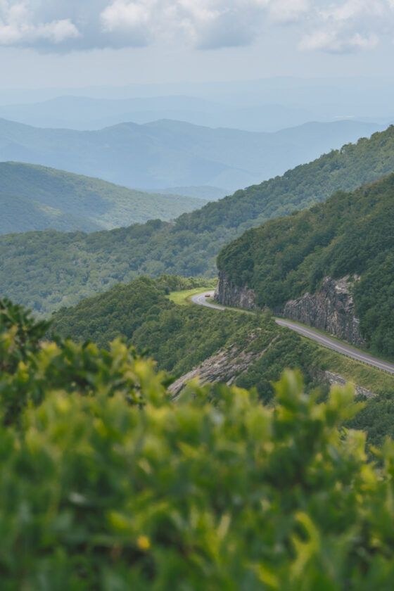 The Definitive Guide To The Best Outdoor Activities In Asheville NC