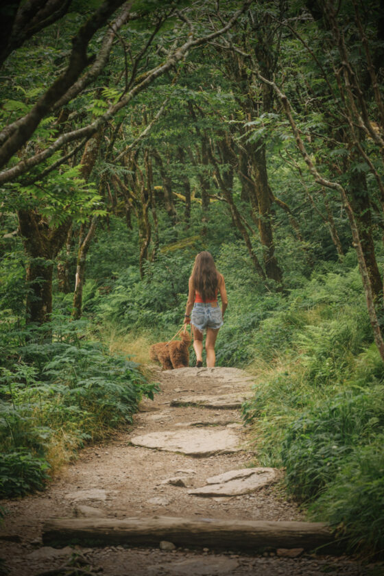 The Definitive Guide To The Best Outdoor Activities In Asheville NC