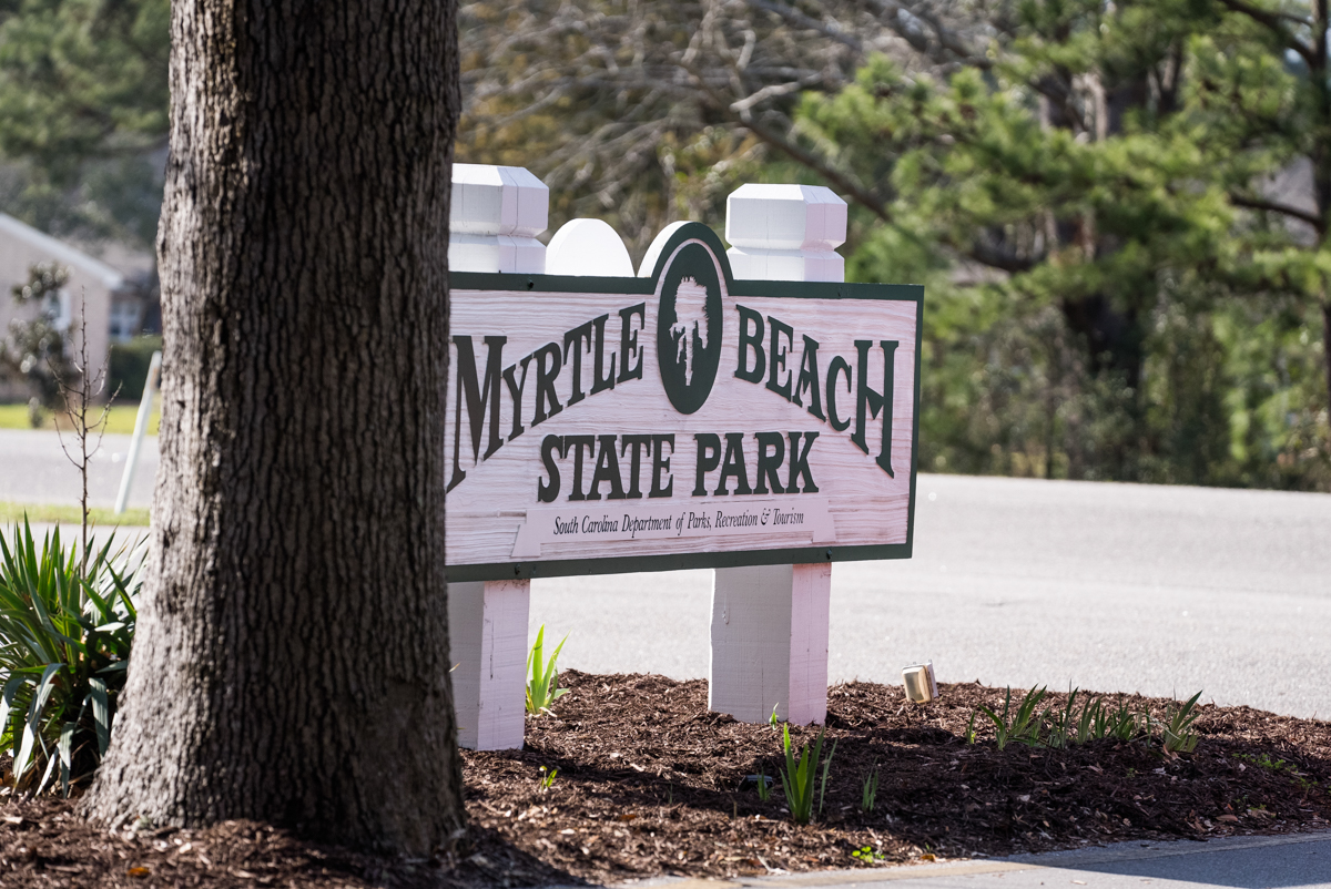 date-night-fun-things-to-do-in-raleigh-nc-for-couples