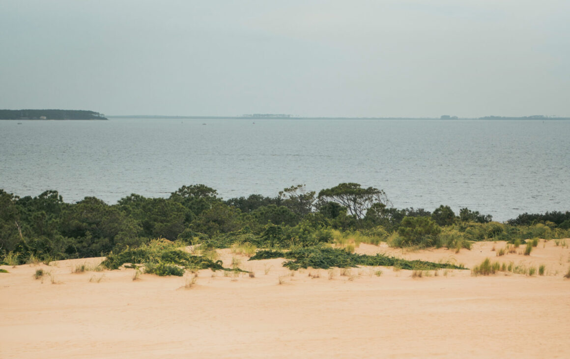 High Tide Or Hoi Toid? The Language Of Ocracoke Brogue
