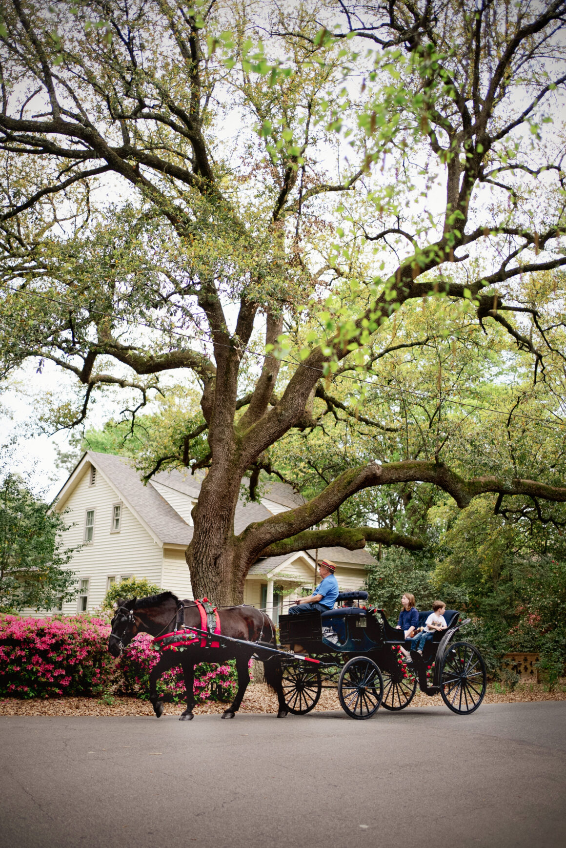 couples things to do southern pines