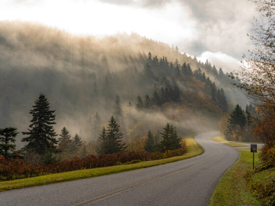 Blue Ridge Parkway Drive