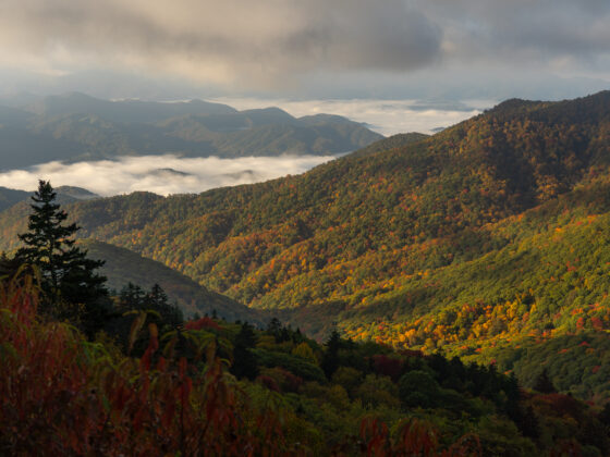 Smoky Mountains In The Fall