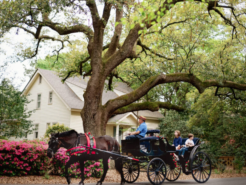 looking-for-things-to-do-in-raleigh-nc-with-kids