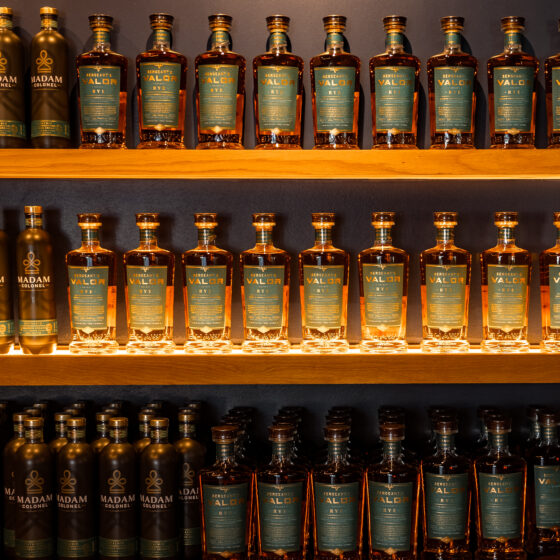 winter weekend in Pinehurst BHAWK