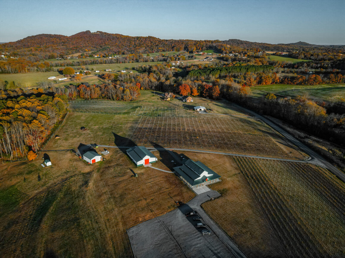 Wilkes county wine country Castello barone