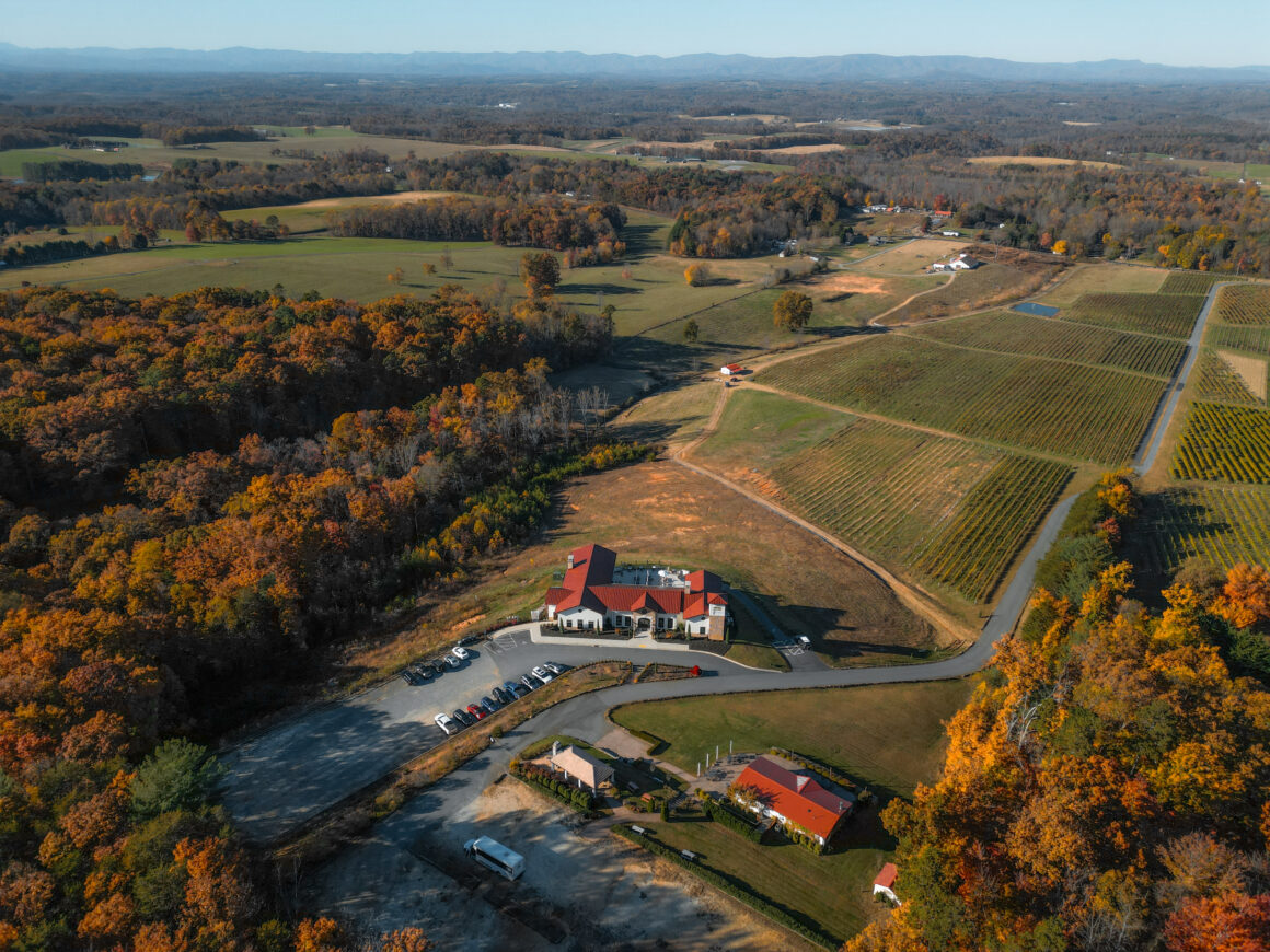 Wilkes county wine country Piccione