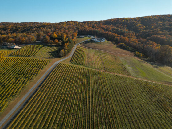 Wilkes county wine country