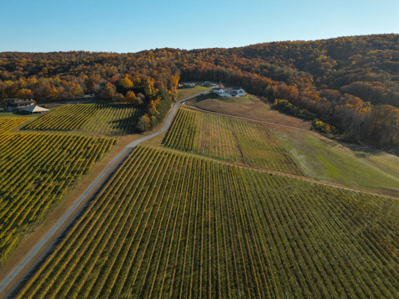 Wilkes county wine country