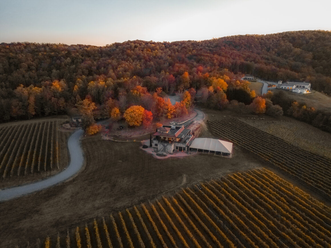 Wilkes county wine country raffaldini