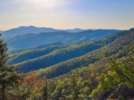 spring in blowing rock