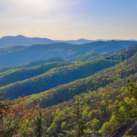spring in blowing rock