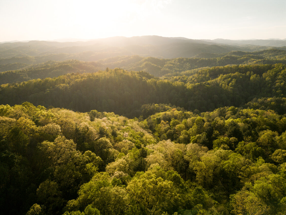 Leatherwood Mountains Wilkes County Blue Ridge NC